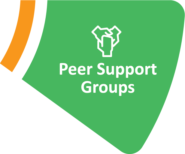 Peer Discussion Groups